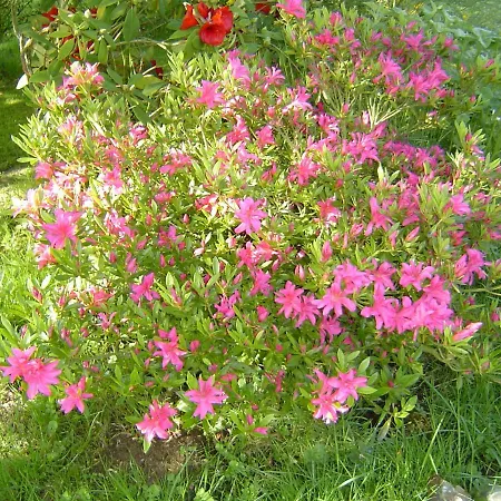 Paul Et Rosalia 別荘 *